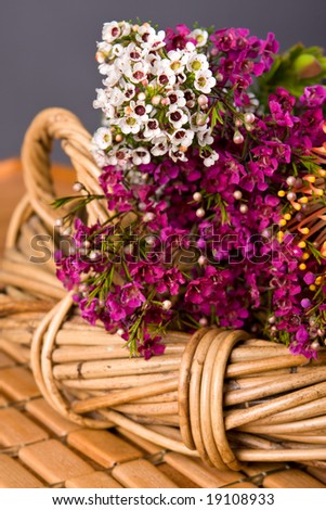 bunch of fresh native Australian flowers in cane basket
