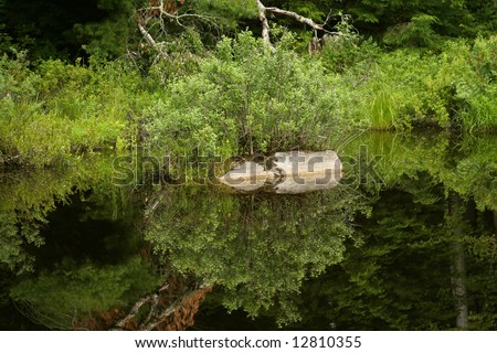 Natures Mirror, reflections in a Maine pond