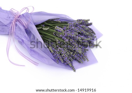 stock-photo-lavender-flower-bouquet-with-purple-ribbon-14919916.jpg