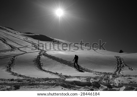 Snowshoeing in Mt. Baker park