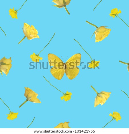 Repeatable background of studio photographs of a butterfly and roses in yellow, isolated on sky blue