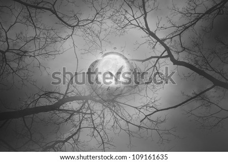 Mystic forest scene with a bird flying to a full moon, surrounded by a bird circle and feathers, with leafless branches reaching out to the cloudy night