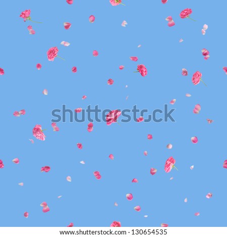 Seamless background of studio photographed, flying roses and petals with depth of field in pink, where the brighter petals are soft, with a back light, isolated on blue
