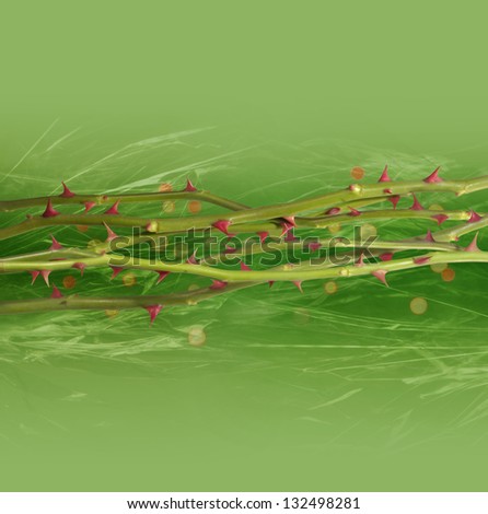 Abstract rose lines with red thorns in combination with red bokeh circles fading into the absolute green background with shining light lines, with similar structure like like the rose stems.
