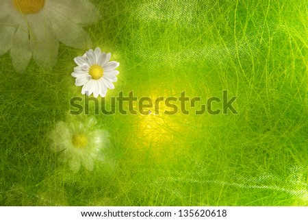 A real daisy bud with pearls on it is lying on a transparent fabric, with light reflections and green strings, similar to grass and decorative daisies all photographed with a yellow back light.