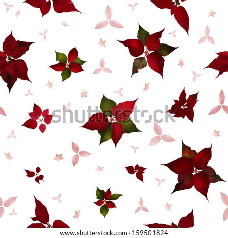 seamless christmas star flower, poinsettia, in studio photographed back light, with variations and structured stars and leaves between them, in depth of field, isolated on white