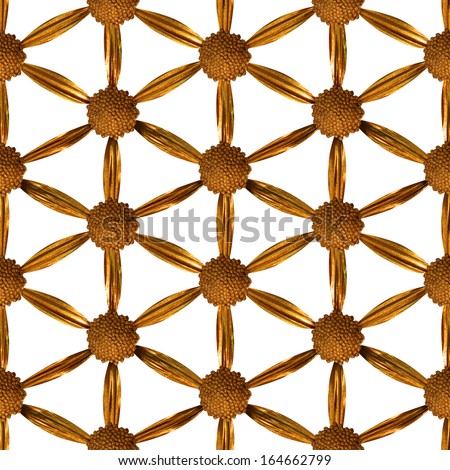 seamless flower of life pattern, made of a gilded, studio photographed, real flower, on a grid, isolated on white
