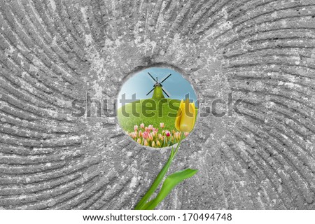 spring scene with a windmill on a hill by a tulip field, through the hole of a mill stone, a typical landscape in the netherlands, the largest tulip production