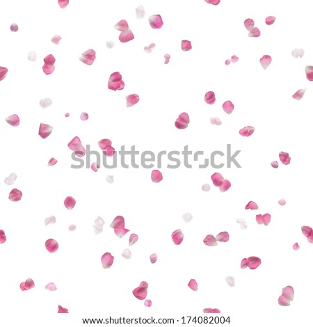 repeatable floating, scattered, different, pink rose petals, studio photographed, in depth of field, being brighter in the distance, isolated on white
