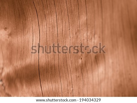 abstract bare tree bark background with wavy lines, in softly fading focus