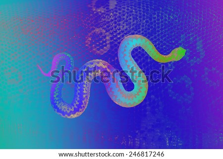 rainbow colored snake, winding over a snakeskin texture, studio photographed, clipping path included