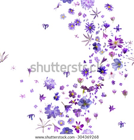 various, violet flower buds breeze, with hyacinths flying to the borders, repeatable and isolated on absolute white