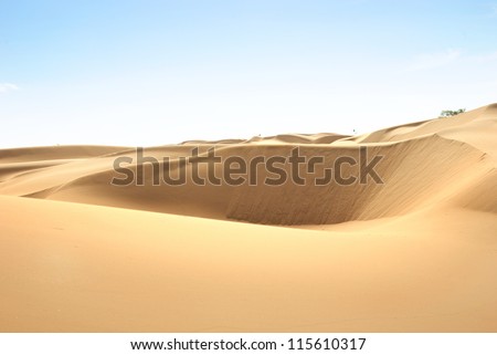 Libyan Desert. Dense gold dust, dunes and beautiful sandy structures in the light of the low sun. Traces on sand.