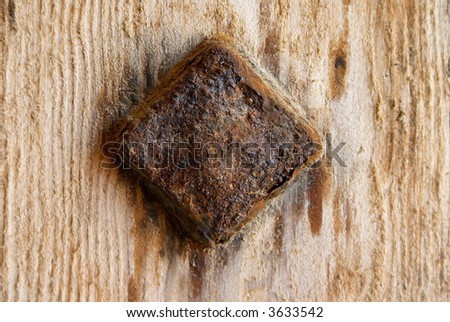 old rusty nail in wood board