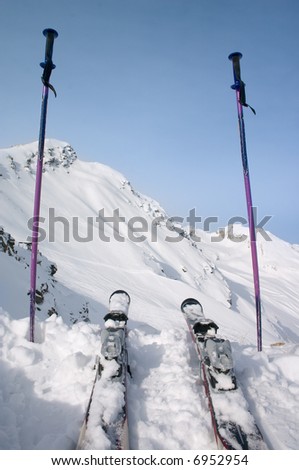ski and ski pole in snow