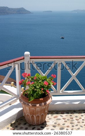 flowerpot on balcony over the sea