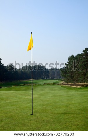 golf field with yellow flag