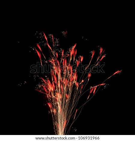 Fireworks that look like fire lilies.
