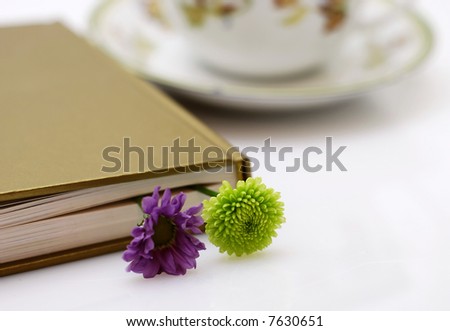 brake in reading book - closed hard-back book with two small flowers as a book mark and cup of tea in the background