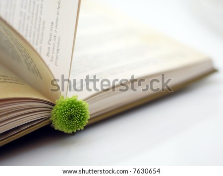 brake in reading book - opened hard-back book tasseled by small green flower