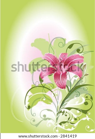 stock vector lily flower green with background