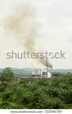 air pollution produced by the palm oil mill