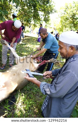 PAHANG, MALAYSIA - OCTOBER 26: Abdul Malik sharpen knife in slaughtering a cow during Eid Al-Adha Al Mubarak, the Feast of Sacrifice on October 26, 2012 in Pahang, Malaysia.