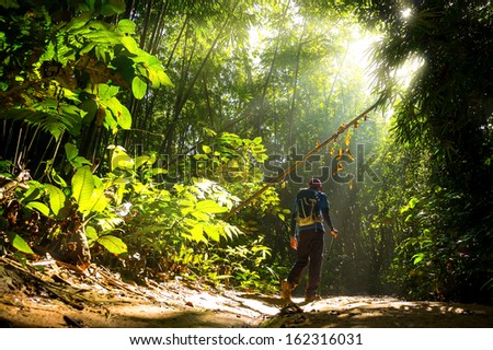 Hiker In A Nature Green Forest With Sunny Light Morning.