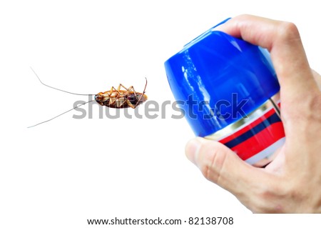 pest control