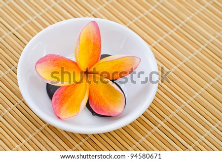 Plumeria flower in bowl