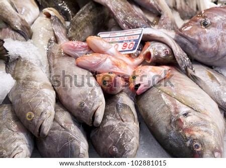 Heap of Fresh Fish at Spanish Market Stand