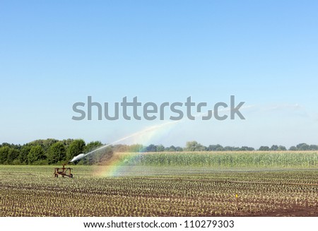 A traveling sprinkler on a vegetable plantation inducing a rainbow