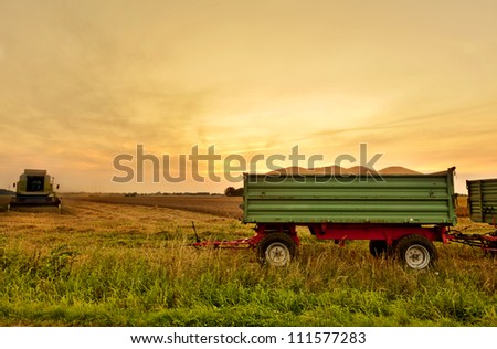 Harvester on a wheat field in sunset, trailer loaded with grain in foreground. HDR image.