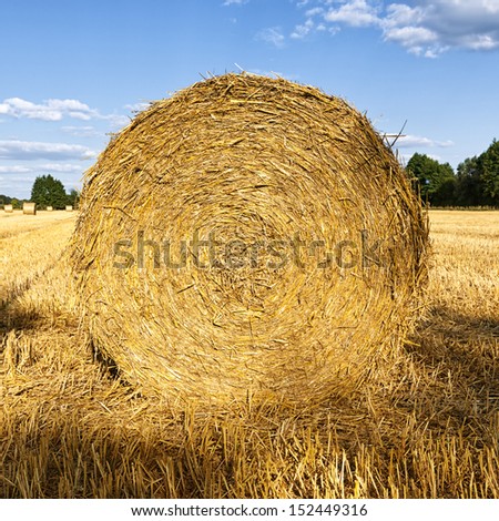 Close-up of hay roll on harvested field in northern Germany, square crop