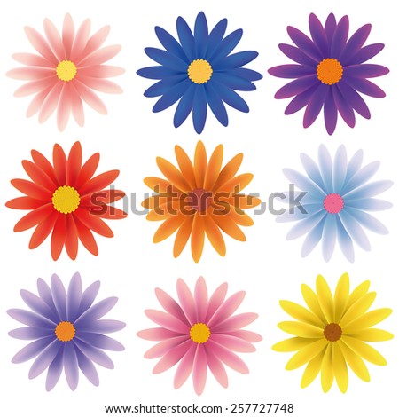 Isolated Vector Flower Collection. Set of nine gerber daisy flowers in various colors isolated on white vector illustration.