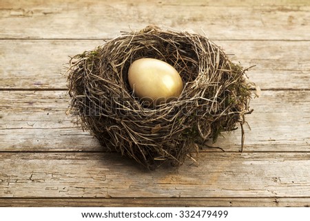 Golden egg in nest on vintage wooden background