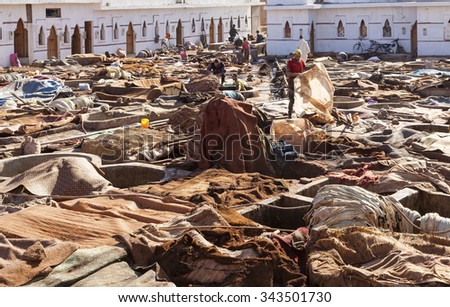 Marrakesh, Morocco - November 9, 2015: Workers at the large tannery cooperative of marrakesh handling cow, goat and camel hides.