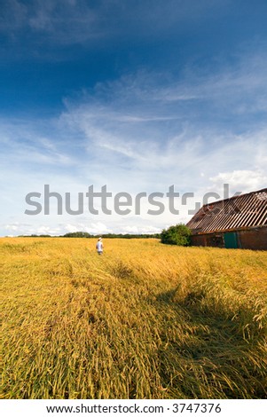 young women with straw hat walking through a wheat field in summer, old barn nearby