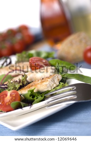 three threads of grilled chicken fillet on fresh green garden salad, with tomatoes, bread, vinegar and oil in background