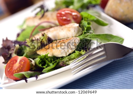 three threads of grilled chicken fillet on fresh green garden salad with tomatoes