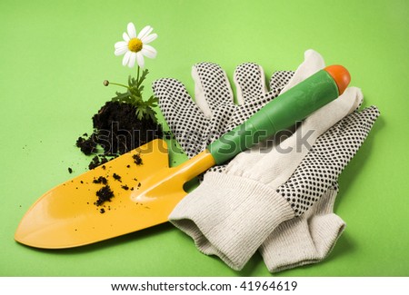 gardener\'s shovel, gardening gloves and marguerite flower in soil on green background