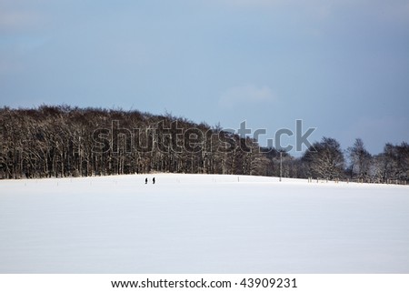 two persons strolling through winter landscape