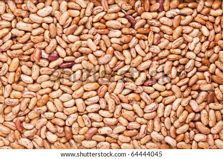 background of pinto beans
