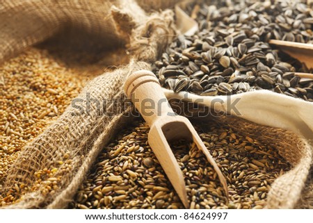 burlap bags filled with various seeds and grains, woode shovel on top