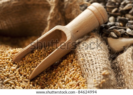 wooden shovel inside a burlap bag filled with grains