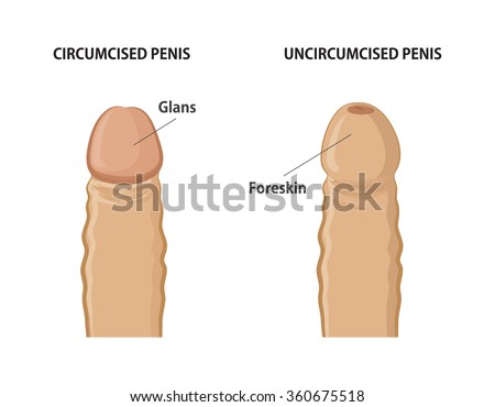 Uncircumsized Penis Photo 30