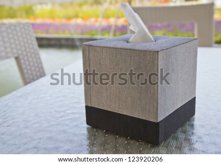 Tissue box on the table beside the garden.