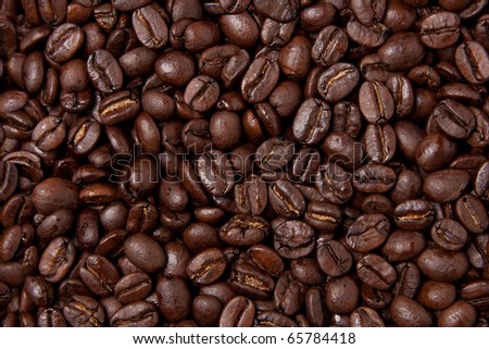Seamless background of freshly roasted coffee beans.  Can be stitched together for an endless number of beans.