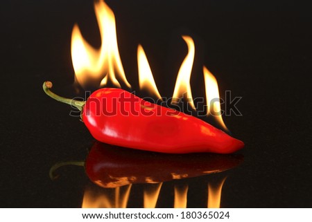 Red pepper on fire on black background
