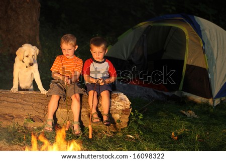 Boys and dog roasting marshmallows at campfire